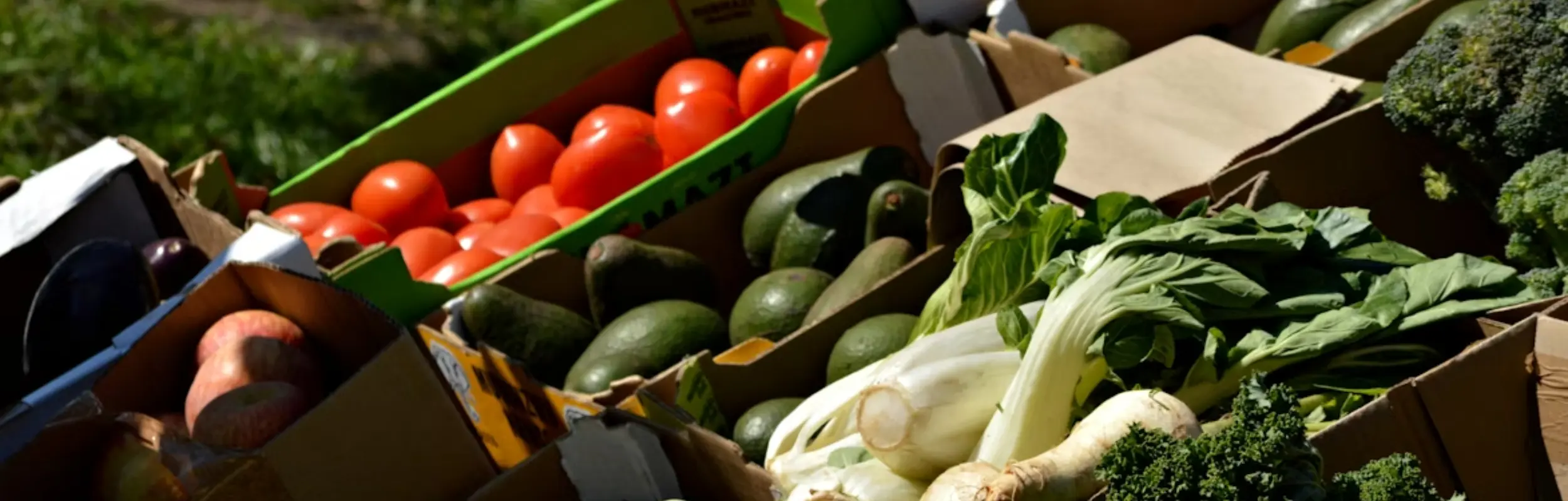 Mangiare vegetale non è più una rinuncia